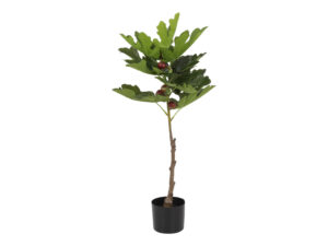 ficus carica real touch m groen