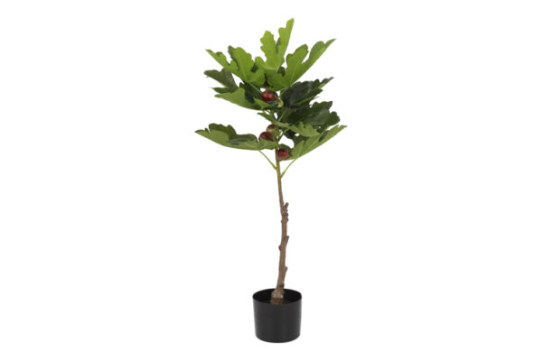 ficus carica real touch m groen