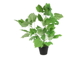 kunst plant sparmannia africana m gr
