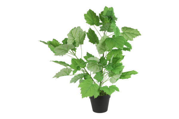 kunst plant sparmannia africana m gr