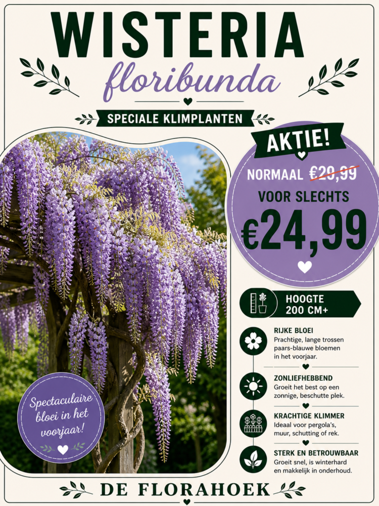 Welkom bij tuincentrum De Florahoek